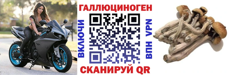 Галлюциногенные грибы мухоморы Болгар